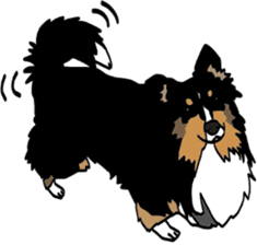 Shetlandsheepdog Sticker 7 sticker #15548085