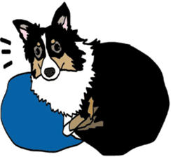 Shetlandsheepdog Sticker 7 sticker #15548086