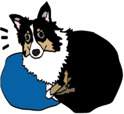 Shetlandsheepdog Sticker 7 sticker #15548086