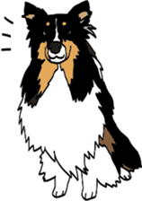 Shetlandsheepdog Sticker 7 sticker #15548088