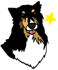 Shetlandsheepdog Sticker 7 sticker #15548089