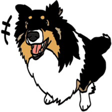 Shetlandsheepdog Sticker 7 sticker #15548091