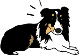 Shetlandsheepdog Sticker 7 sticker #15548092
