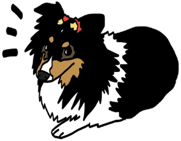 Shetlandsheepdog Sticker 7 sticker #15548093
