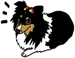 Shetlandsheepdog Sticker 7 sticker #15548093