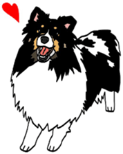 Shetlandsheepdog Sticker 7 sticker #15548094