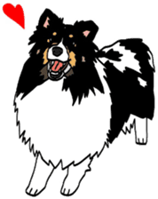Shetlandsheepdog Sticker 7 sticker #15548094