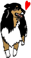 Shetlandsheepdog Sticker 7 sticker #15548096