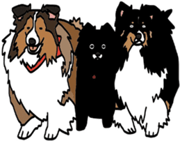 Shetlandsheepdog Sticker 7 sticker #15548097