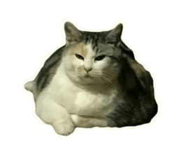 Cat8v8 sticker #15548363