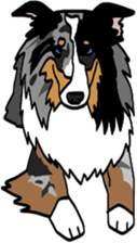 Shetlandsheepdog Sticker 6 sticker #15548530