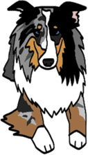Shetlandsheepdog Sticker 6 sticker #15548530
