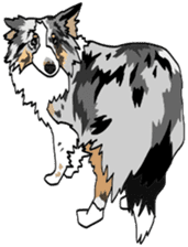 Shetlandsheepdog Sticker 6 sticker #15548531