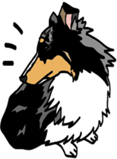 Shetlandsheepdog Sticker 6 sticker #15548532