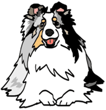 Shetlandsheepdog Sticker 6 sticker #15548533