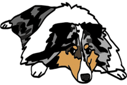 Shetlandsheepdog Sticker 6 sticker #15548534