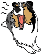 Shetlandsheepdog Sticker 6 sticker #15548536