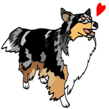 Shetlandsheepdog Sticker 6 sticker #15548537