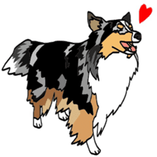 Shetlandsheepdog Sticker 6 sticker #15548537