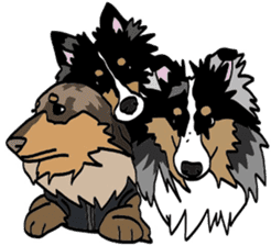 Shetlandsheepdog Sticker 6 sticker #15548540