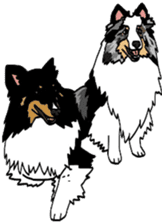 Shetlandsheepdog Sticker 6 sticker #15548541