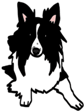 Shetlandsheepdog Sticker 6 sticker #15548544