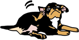 DOGDOGDOG Sticker sticker #15548577