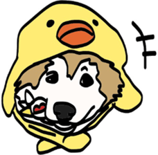 DOGDOGDOG Sticker sticker #15548590