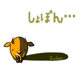 ICCHAN's exclusive sticker sticker #15550352