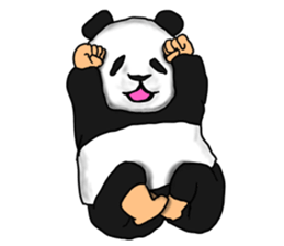 Sticker of a convenient panda sticker #15551294