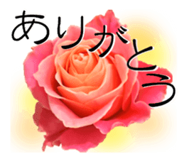 Appreciate your feelings with flowers! sticker #15552698