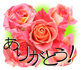 Appreciate your feelings with flowers! sticker #15552699