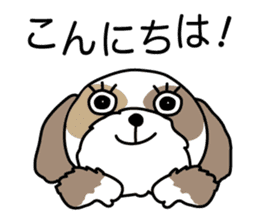 The neme of the Shih Tzu is Ramsay sticker #15553028