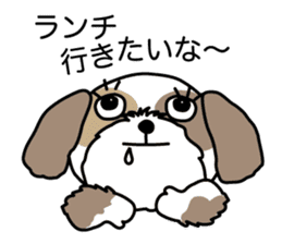 The neme of the Shih Tzu is Ramsay sticker #15553035