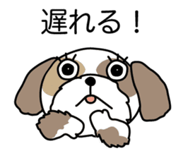 The neme of the Shih Tzu is Ramsay sticker #15553038