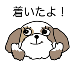 The neme of the Shih Tzu is Ramsay sticker #15553039