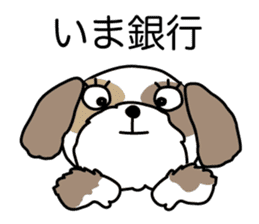 The neme of the Shih Tzu is Ramsay sticker #15553041
