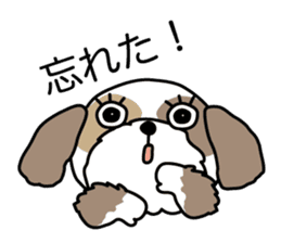 The neme of the Shih Tzu is Ramsay sticker #15553043