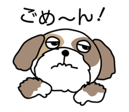 The neme of the Shih Tzu is Ramsay sticker #15553045