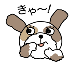 The neme of the Shih Tzu is Ramsay sticker #15553059