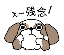 The neme of the Shih Tzu is Ramsay sticker #15553064