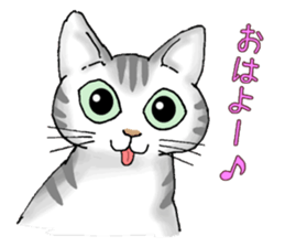 Stray cats in the garden. + kittens sticker #15553068