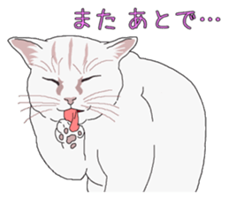 Stray cats in the garden. + kittens sticker #15553077