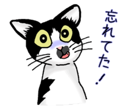 Stray cats in the garden. + kittens sticker #15553081