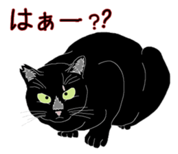 Stray cats in the garden. + kittens sticker #15553082
