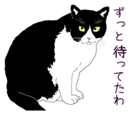 Stray cats in the garden. + kittens sticker #15553083