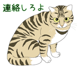 Stray cats in the garden. + kittens sticker #15553085