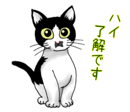 Stray cats in the garden. + kittens sticker #15553086