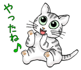 Stray cats in the garden. + kittens sticker #15553088