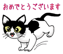 Stray cats in the garden. + kittens sticker #15553089
